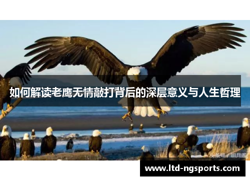 如何解读老鹰无情敲打背后的深层意义与人生哲理