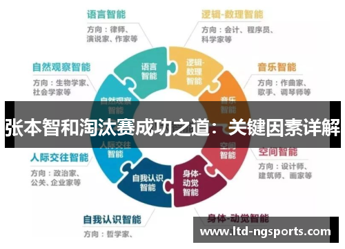 张本智和淘汰赛成功之道：关键因素详解