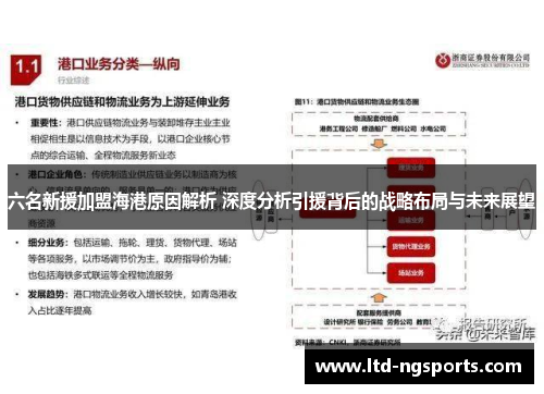 六名新援加盟海港原因解析 深度分析引援背后的战略布局与未来展望