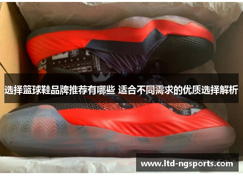 选择篮球鞋品牌推荐有哪些 适合不同需求的优质选择解析