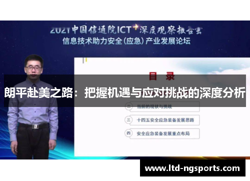朗平赴美之路：把握机遇与应对挑战的深度分析