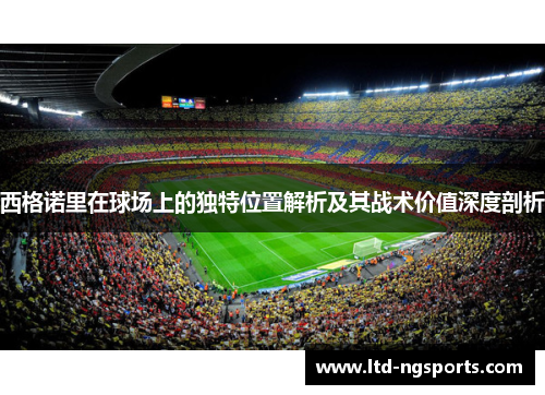 西格诺里在球场上的独特位置解析及其战术价值深度剖析