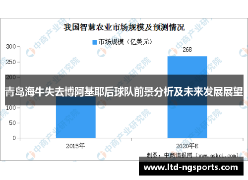 青岛海牛失去博阿基耶后球队前景分析及未来发展展望